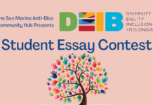 Anti-Bias Student Essay Contest